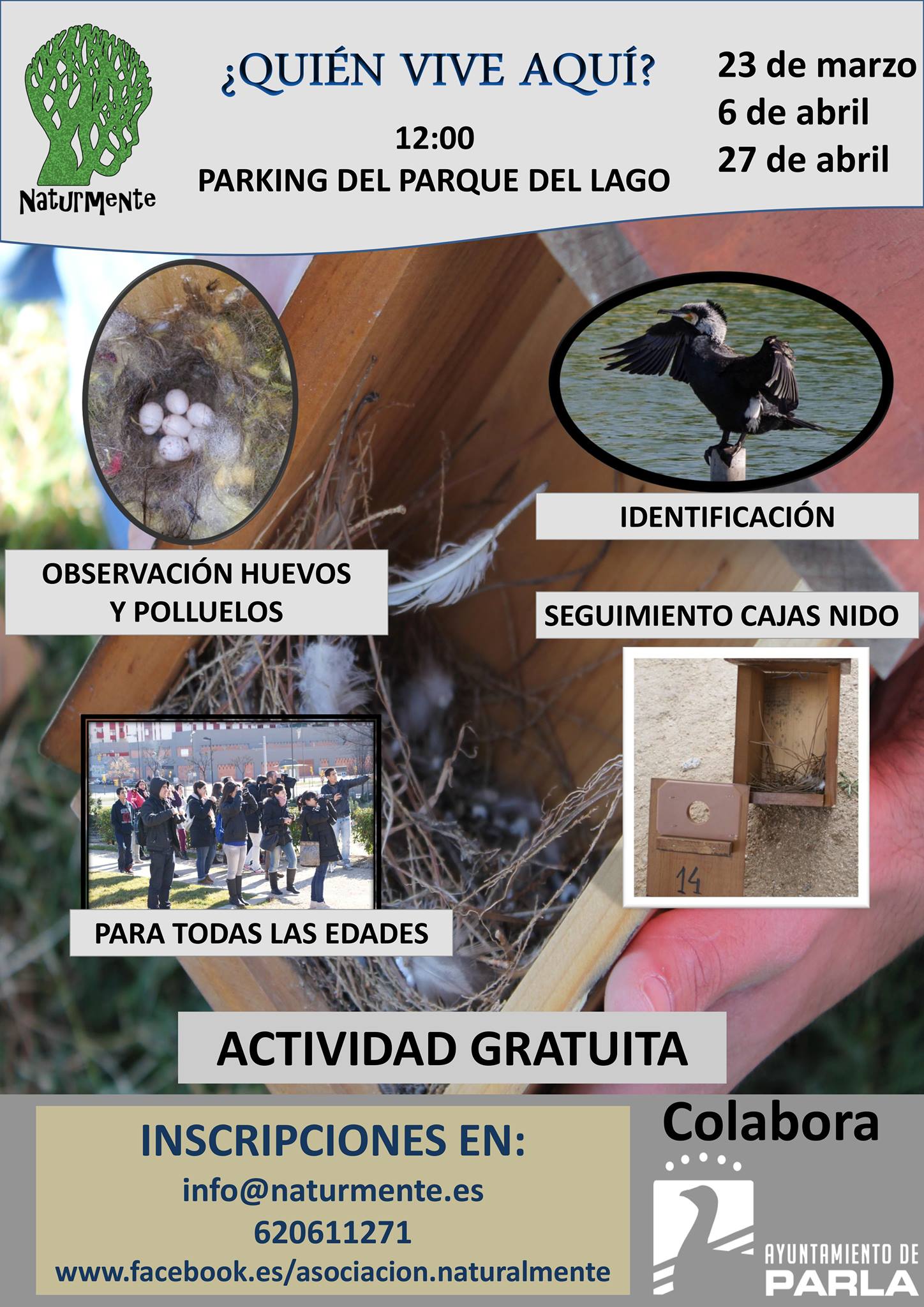 Poster 2