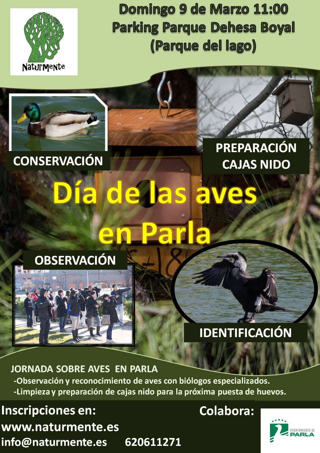 Poster 3