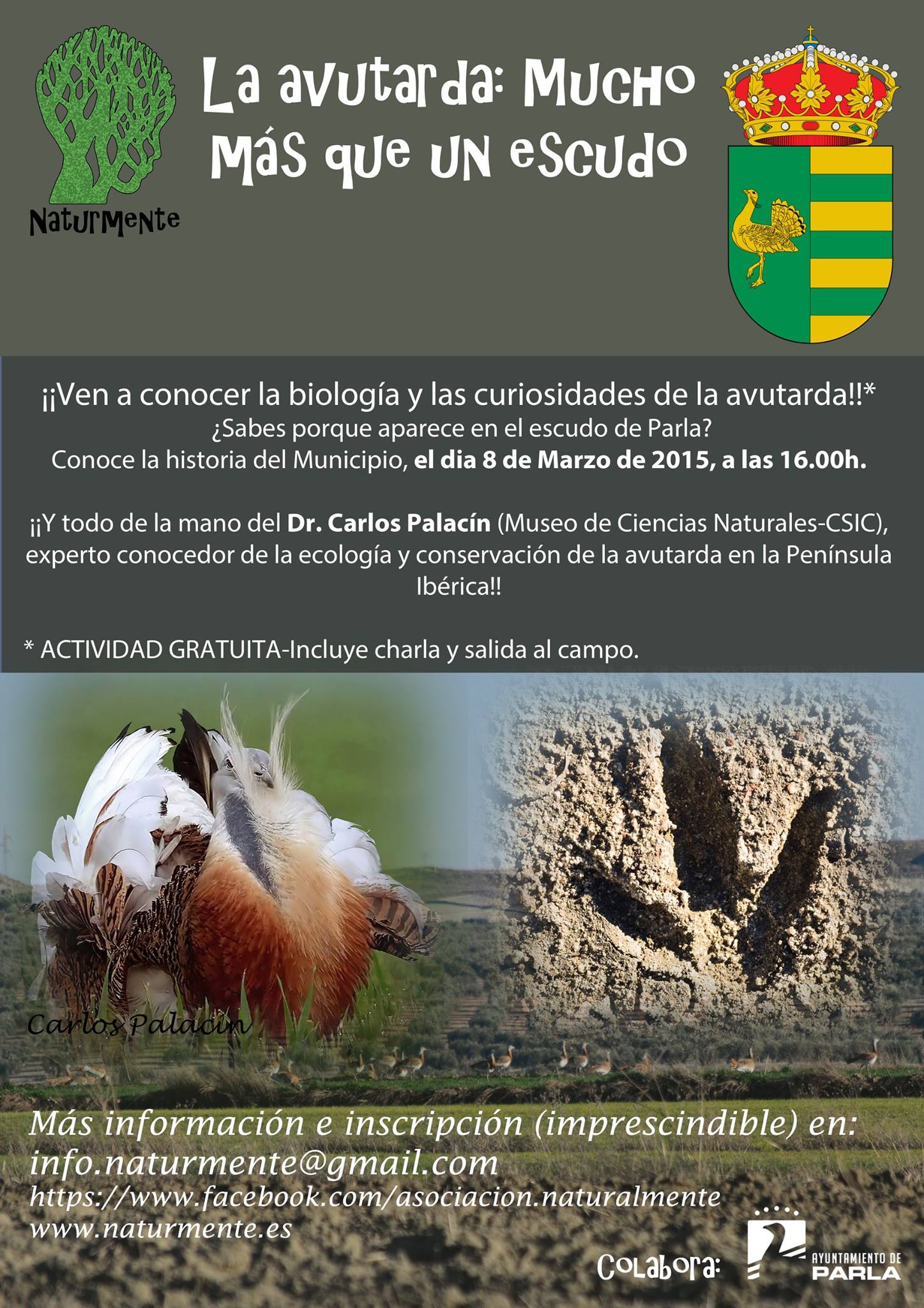 Poster 5