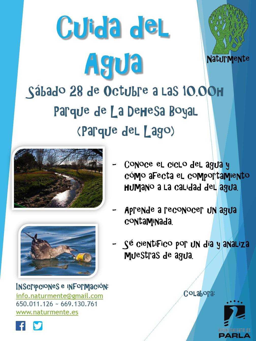 Poster 7