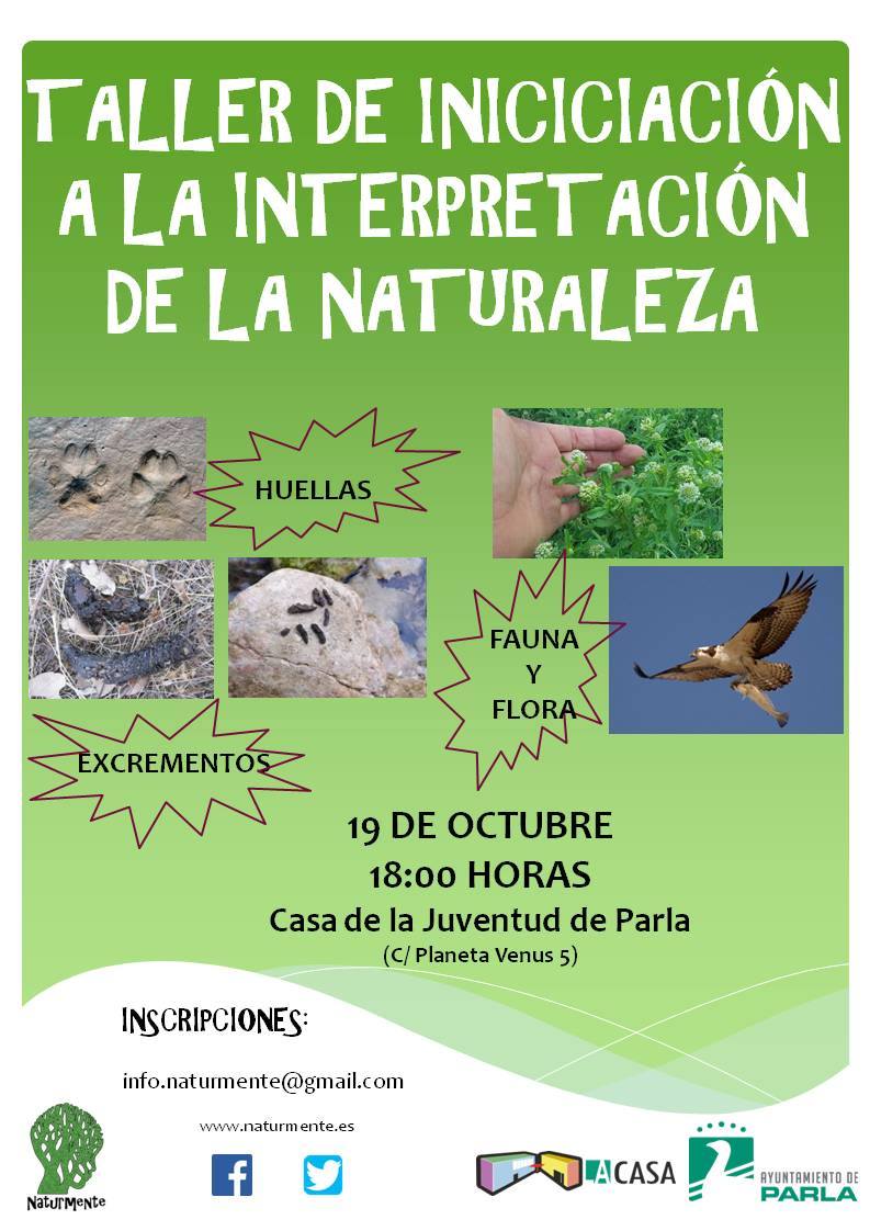 Poster 8
